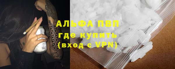 спайс Алзамай