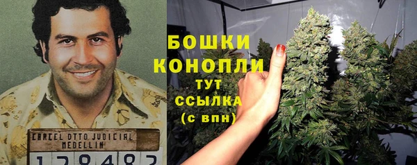 спайс Алзамай