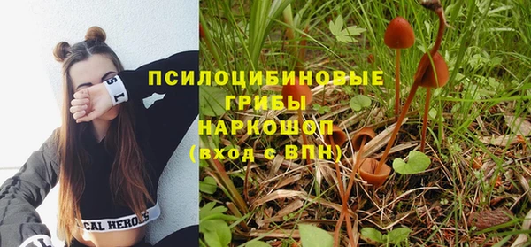spice Переславль-Залесский