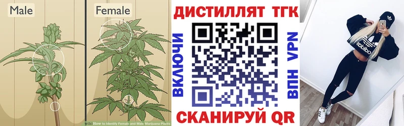 Дистиллят ТГК жижа  Константиновск 
